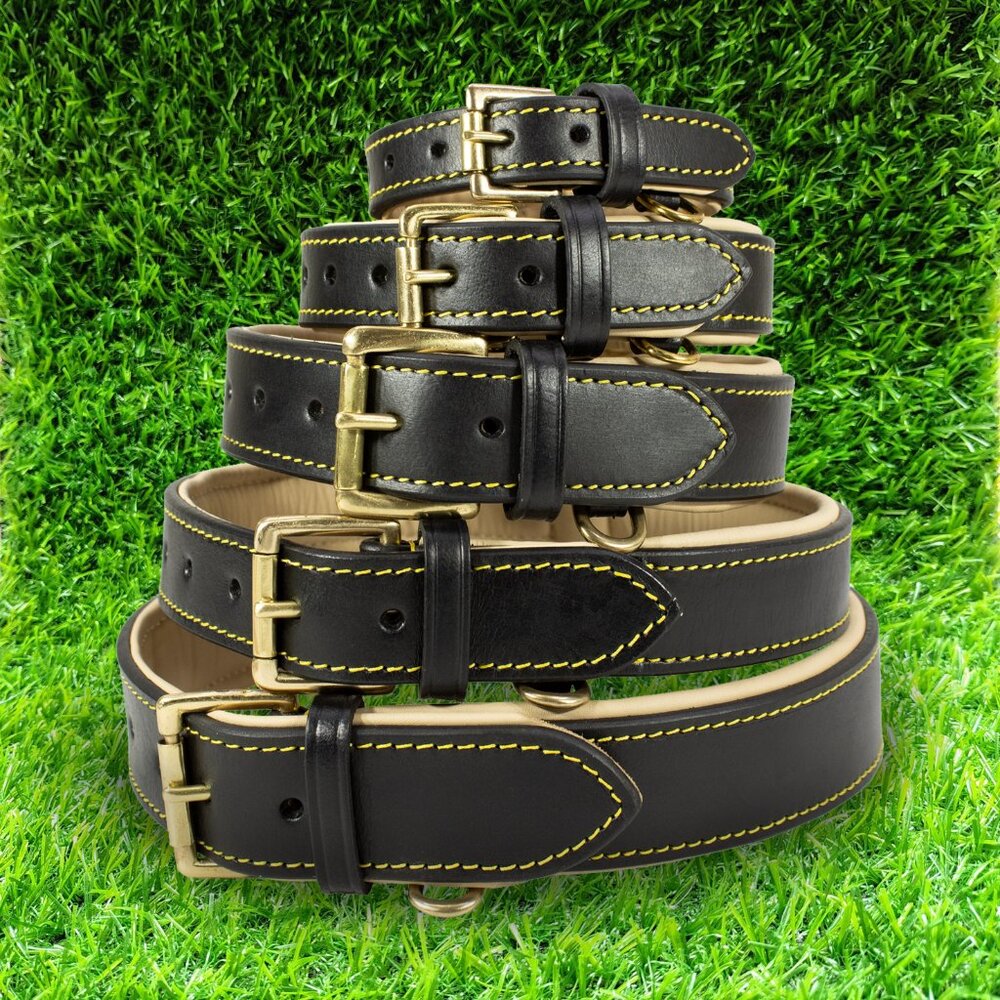 GENUINE LEATHER Dog Padded Black Collar